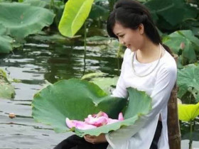 越南女人與越南蓮花文化